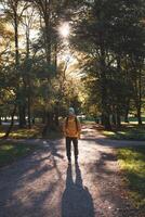 Solo hiker explores Oslo serene park trails, embraced by golden autumn light streaming through tall trees where nature and peace go hand in hand. Norwegian nature photo