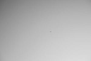 Lone airplane cuts across the endless Oslo sky minimalist serenity and the promise of distant journeys beyond the visible horizon. Black and white photo