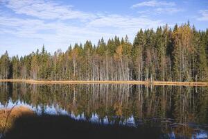 Perfect reflection of Norwegian forest trees mirrors across a still lake in Oslo Marka, blending sky and earth in silent photo