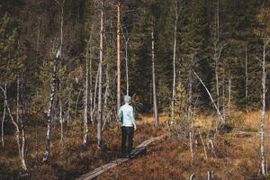 Man walks on a narrow wooden trail in Oslo Marka, surrounded by golden autumn light and the silent whisper of Nordic wilderness. Norwegian raw nature photo
