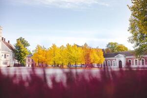Golden autumn trees glow in a quiet courtyard surrounded by historic buildings, capturing Oslo peaceful charm during a crisp fall morning. Festningsplassen under colours photo