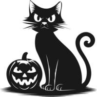 Black cat with pumpkin halloween illustration vector