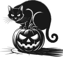 Black cat sitting on a halloween pumpkin vector
