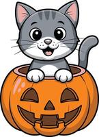 Cat in pumpkin for Halloween vector