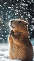 Capybara stands in the snow, with paws together in a praying position, as snowflakes gently fall from the sky, against a mountain backdrop photo