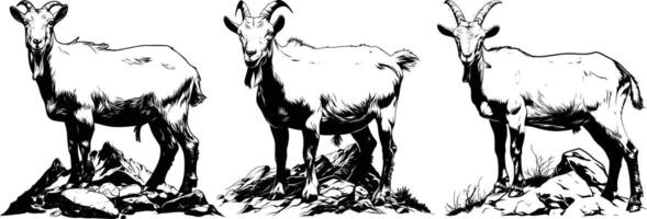 Goats on Rocks Group Climbing Black White Line Art vector