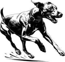 Dynamic Running Dog Full Sprint Motion Black White Line Art Athletic vector