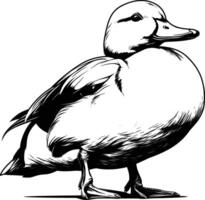 Duck Standing Profile View Black White Line Art Style vector