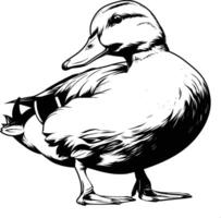 Duck Standing Profile View Black White Line Art vector