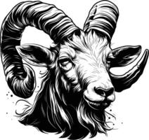 Goat Head Closeup Horns Beard Detailed Line Art vector