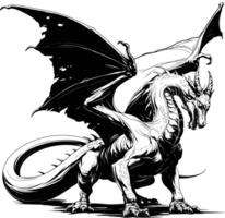 Single Dragon Standing Position Black White Line Art Fantasy Creature vector