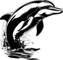 Dolphin Water Splash Dynamic Action Black White Line Art vector