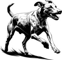 Agile Dog Jump Peak Athletic Performance Black White Line Art Maximum Extension vector