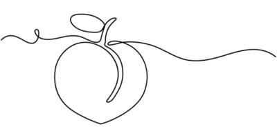 Peach fruit in continuous line art drawing style. Simple black sketch made of one line isolated vector