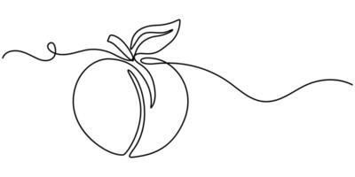 Fresh peach continuous one line drawing illustration vector