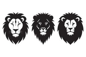 Three Majestic Lion Heads in Striking Black and White, Symbolic of Power, Pride, and Wilderness vector