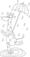 Coloring page with a giraffe with an umbrella jumping in the rain through puddles vector