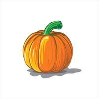 pumpkin that is often used as a symbol vector
