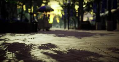 CGI Vibrant sunset casts shadows on a serene park walkway during early evening video