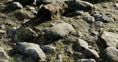 CGI Rocky terrain with natural features and scattered stones in a rural setting video