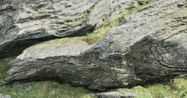 CGI Textured limestone rocks surrounded by lush green moss in natural setting video