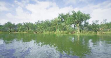CGI Serenity by the tranquil lake surrounded by lush greenery and calm waters video
