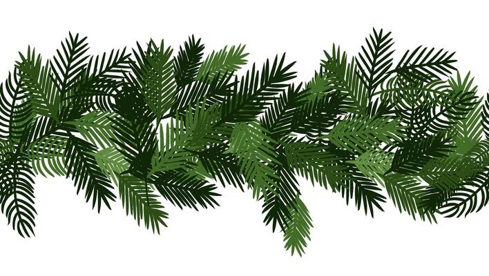 Christmas tree branches Seamless horizontal border. graphic line ink illustration. Holiday garland isolated. For logo, web, package, sticker.