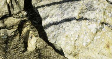 CGI Shoreline rock formations with unique textures and sunlit patterns video