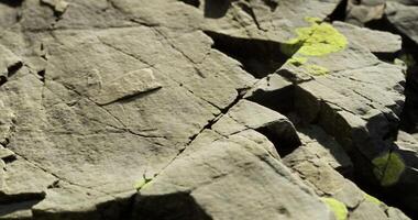 CGI Textured rock surface showing intricate patterns and vibrant moss growth video