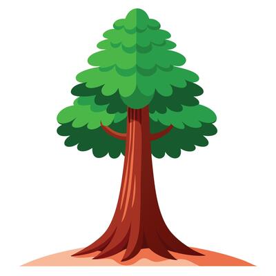Cartoon Redwood Tree Illustration with Green Foliage and Brown Trunk on White