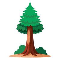 Cartoon Evergreen Tree with Brown Trunk and Green Shrubs Illustration vector