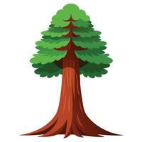 Illustrative Sequoia Tree With Green Foliage And Brown Trunk On White Background vector