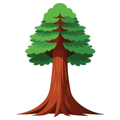 Illustrative Sequoia Tree With Green Foliage And Brown Trunk On White Background