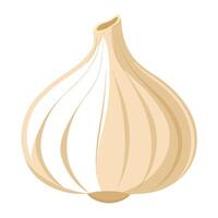 Single Beige Garlic Bulb Illustration on White Background, Simple Design for Food Content vector