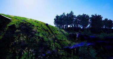 CGI Vibrant green hillside under bright sunlight with trees in background video