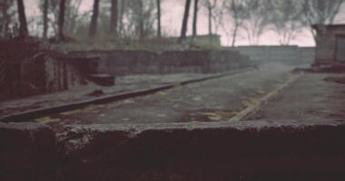 CGI Mysterious ruins covered in fog with a desolate atmosphere in the forest video
