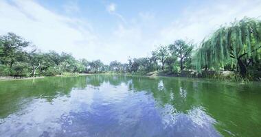 CGI Scenic lakeside view with lush greenery and clear skies during daytime video