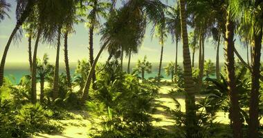 CGI Lush tropical landscape under clear skies and peaceful ocean view video