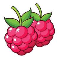 Two Cartoon Style Raspberries with Green Leaves, Isolated on White Background vector