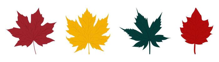 Set of leaves. Flat elements simple on transparent background vector