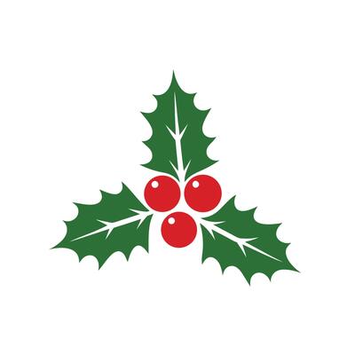 Festive Holly Berries and Green Leaves Christmas Design Element Isolated on White Background