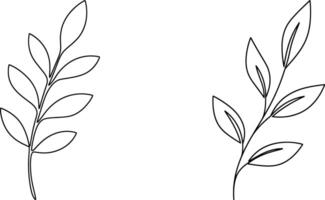 Two Minimalist Leaf Branch Illustrations Botanical Line Art for Elegant Design Projects vector