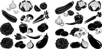 Monochrome Featuring Assorted Fresh Vegetables Cauliflower, Tomato, Zucchini and Others vector