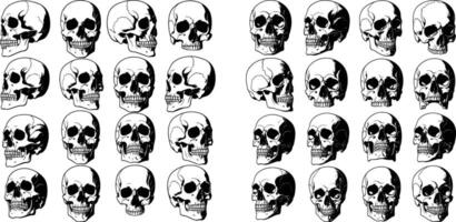 Multiple Skulls in Different Poses, Skull Collection, Skulls Design Element vector