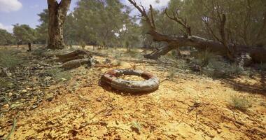 CGI Old life preserver resting on dry ground surrounded by trees and brush video
