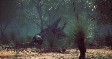 CGI Serene landscape with grass and trees under misty light at dawn video