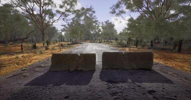 CGI Nature reclaims abandoned road with vegetation and stone barriers in sunlight video