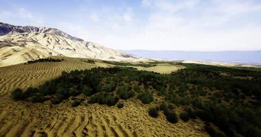 CGI Desert landscape with mountains and greenery under blue sky video