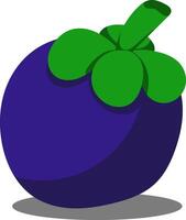 Fresh Mangosteen Illustration Isolated on transparent Background vector