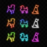 Dog and cat silhouette set. Pets sit together, neon style. side view isolated on white background. Project for veterinary clinic, store, animal business vector